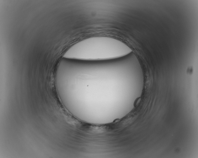 X0000112520469200908171117