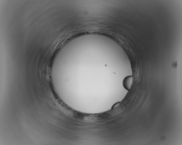 X0000112520470200908171117