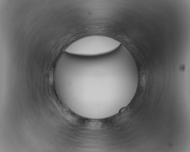 X0000112520471200908171117