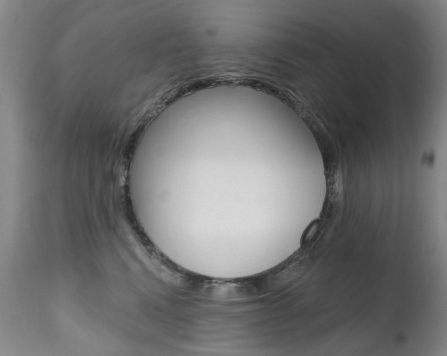 X0000112520472200908171117
