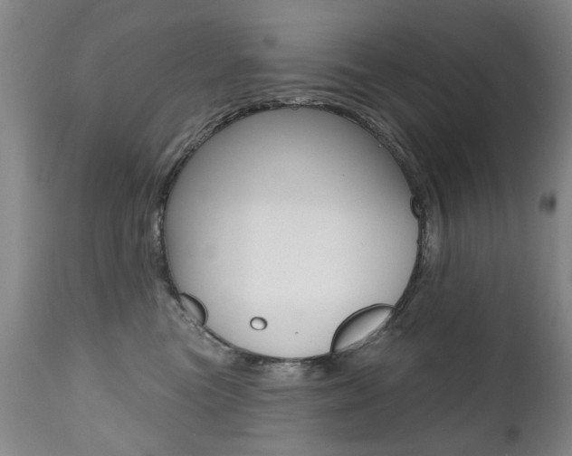 X0000112520473200908171117