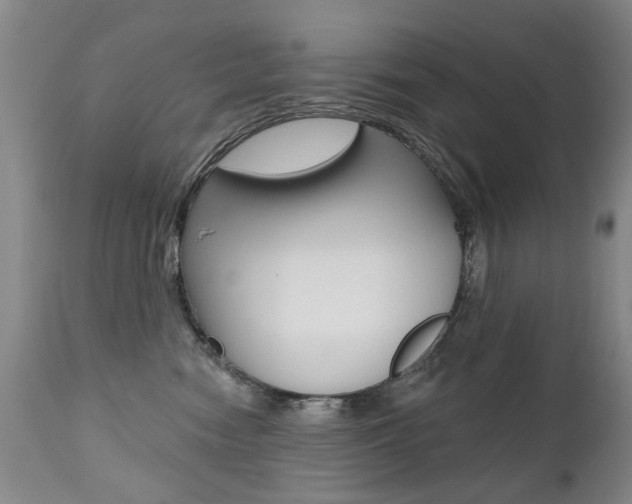 X0000112520474200908171117