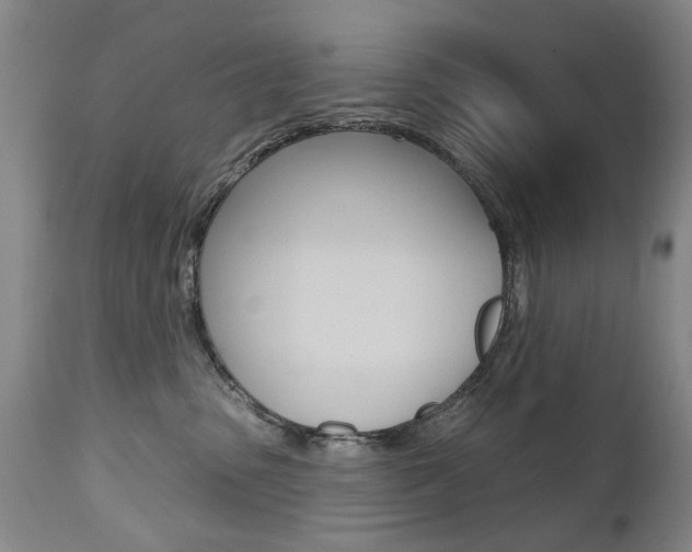 X0000112520475200908171117