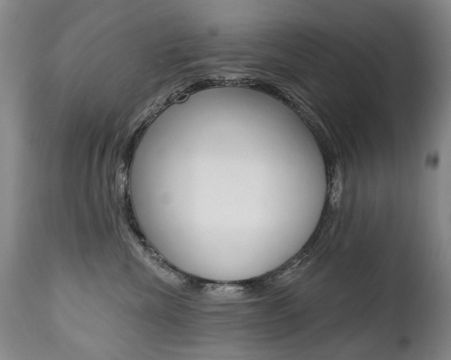 X0000112520476200908171117