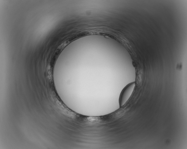 X0000112520477200908171117