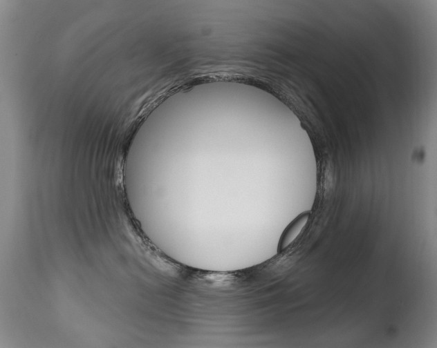 X0000112520478200908171117