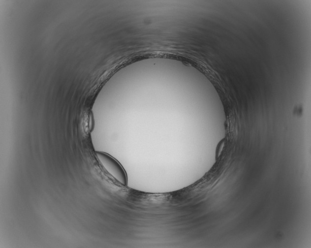 X0000112520479200908171117