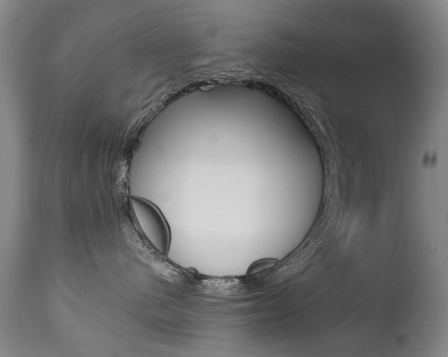 X0000112520480200908171117