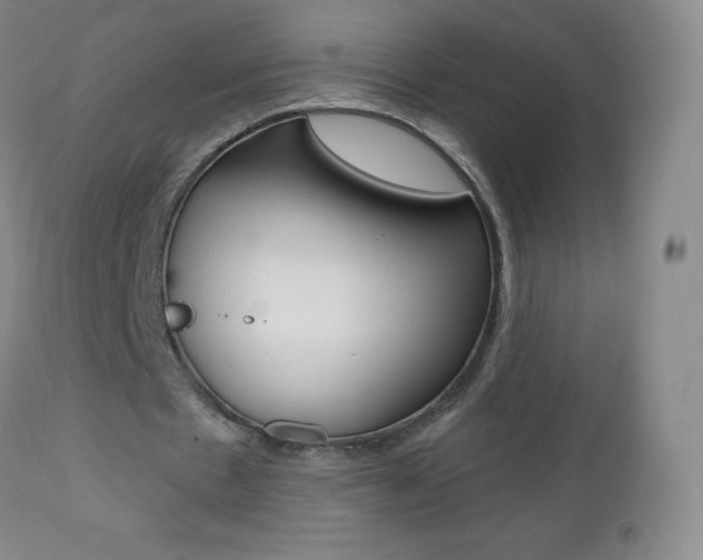 X0000112520481200908171116