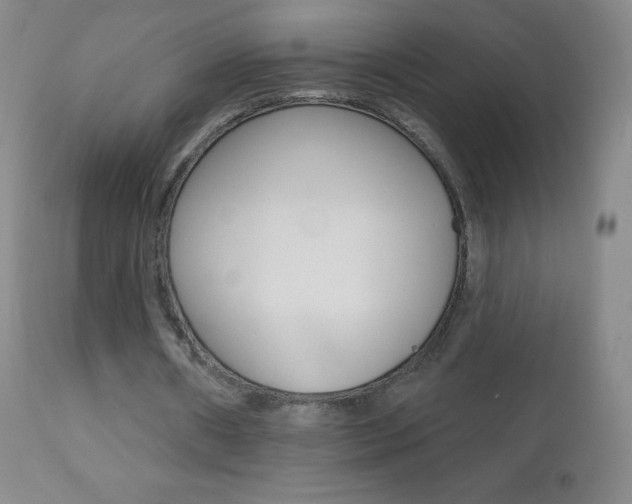 X0000112520482200908171116