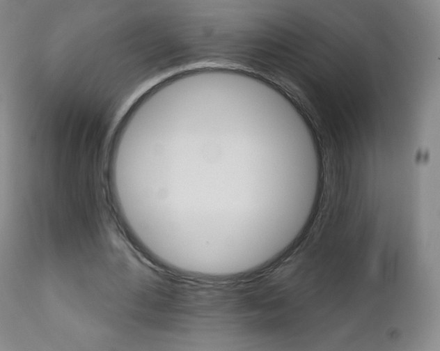X0000112520484200908171116