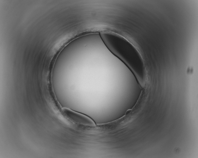 X0000112520485200908171116