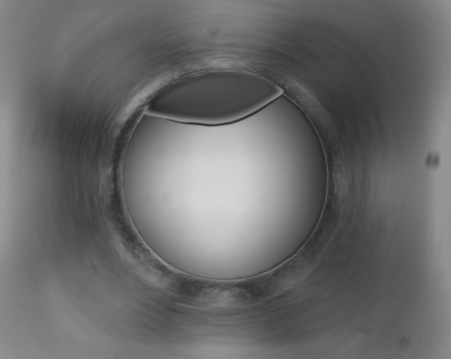 X0000112520488200908171116