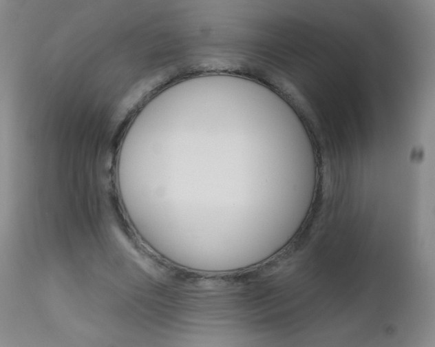 X0000112520490200908171116