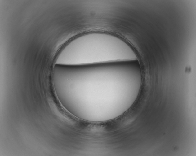 X0000112520491200908171116