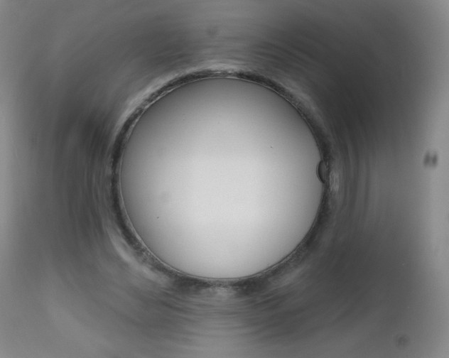 X0000112520492200908171116