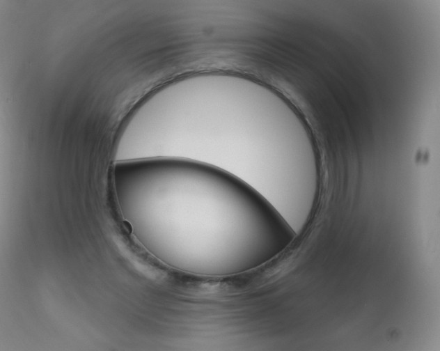 X0000112520493200908171116