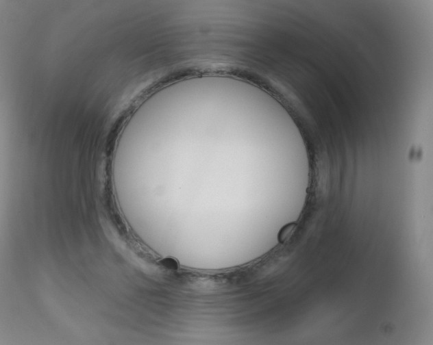 X0000112520494200908171116