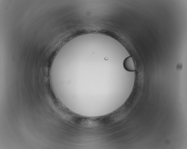 X0000112520498200908171116