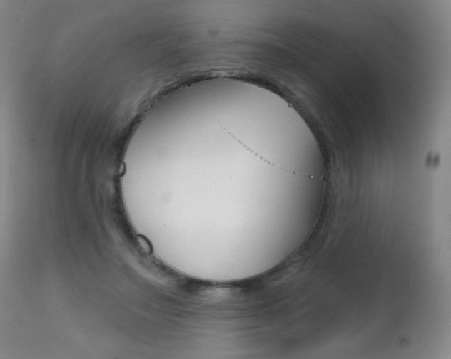 X0000112520499200908171116
