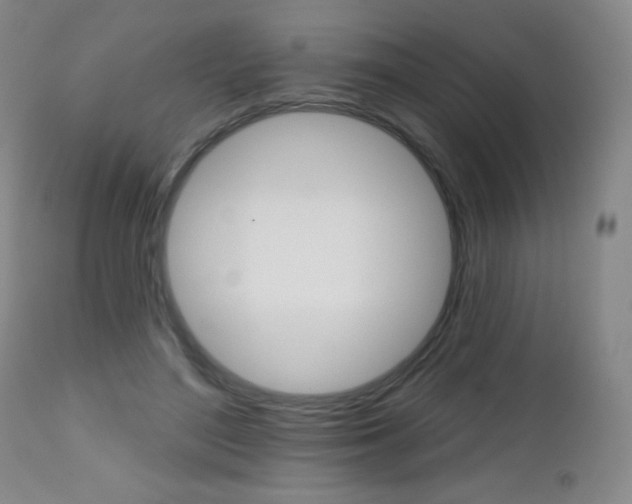 X0000112520500200908171116