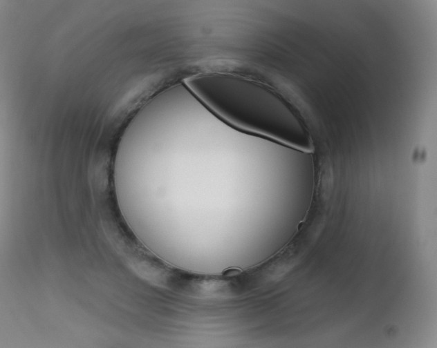 X0000112520501200908171116