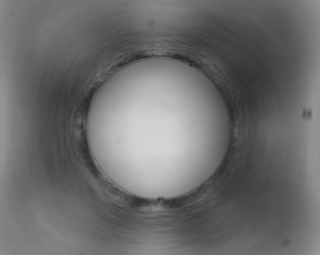 X0000112520503200908171116