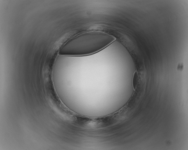 X0000112520504200908171116