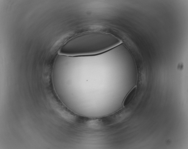 X0000112520505200908171116