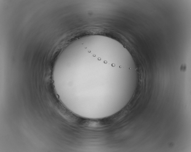 X0000112520507200908171116