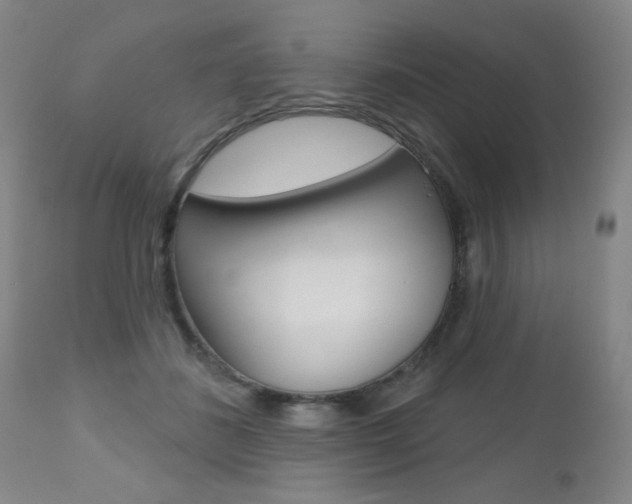 X0000112520508200908171116