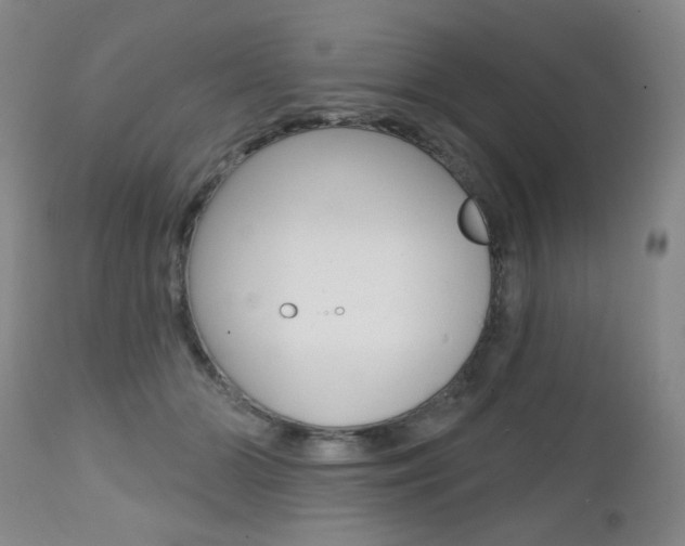 X0000112520510200908171116