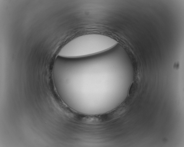 X0000112520512200908171116
