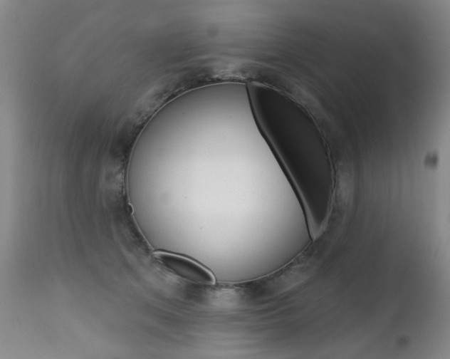 X0000112520513200908171116