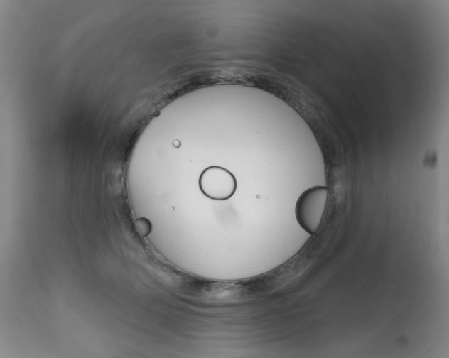 X0000112520514200908171116