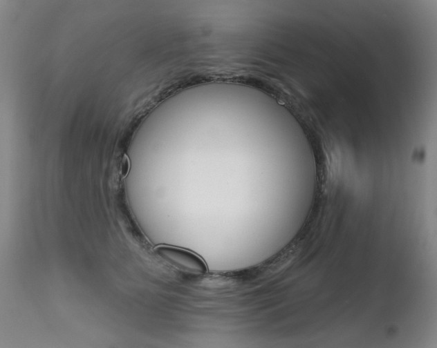X0000112520515200908171116