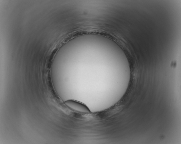 X0000112520516200908171116