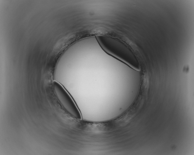 X0000112520517200908171116