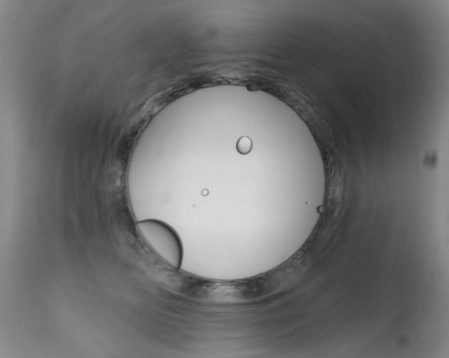 X0000112520518200908171116