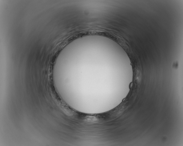 X0000112520519200908171116