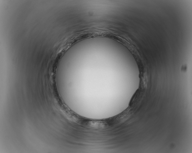 X0000112520520200908171116