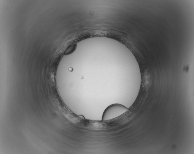 X0000112520522200908171116