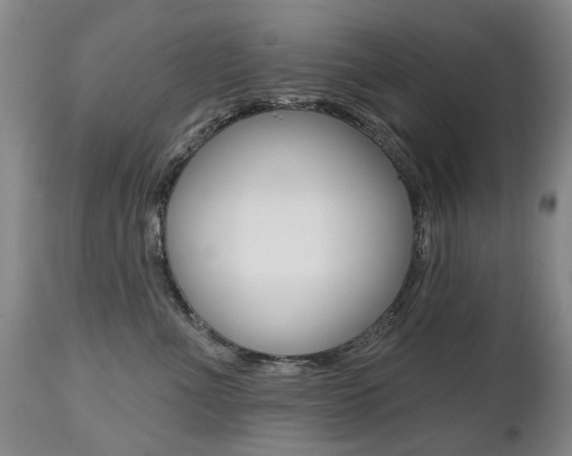 X0000112520523200908171116