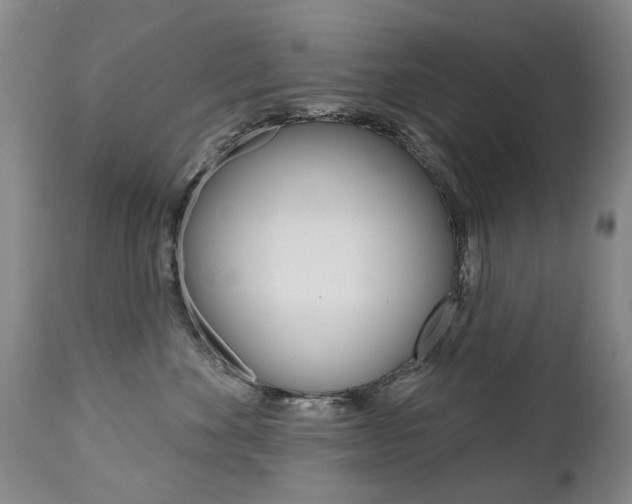 X0000112520524200908171116