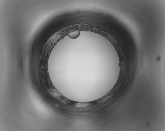 X0000112520526200908171116