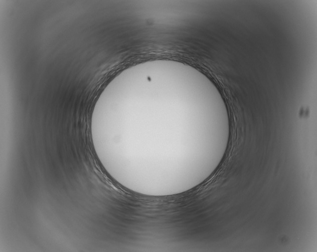 X0000112520528200908171116