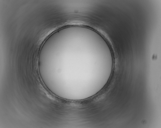 X0000112520529200908171115