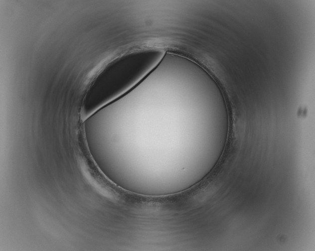 X0000112520530200908171115
