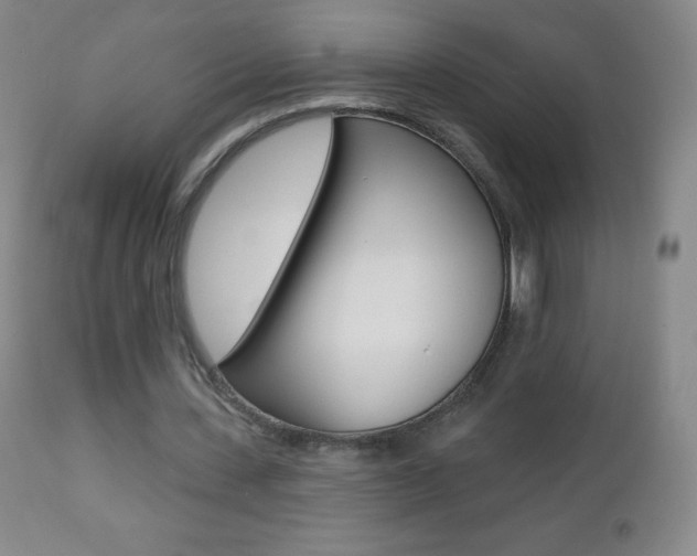 X0000112520531200908171115