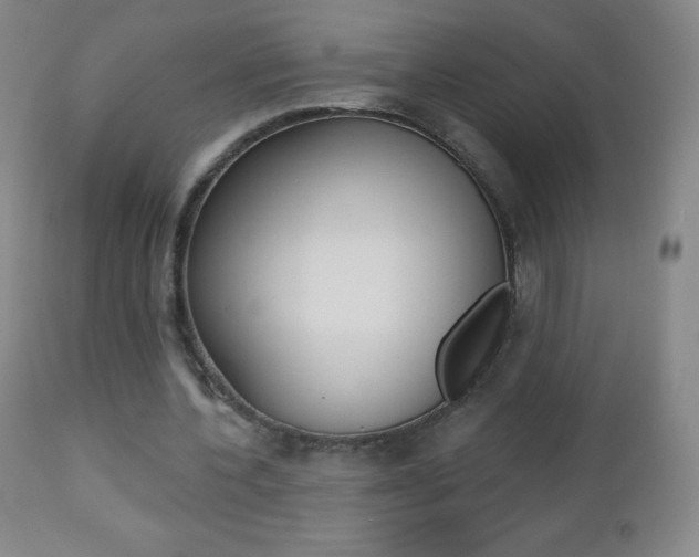 X0000112520532200908171115